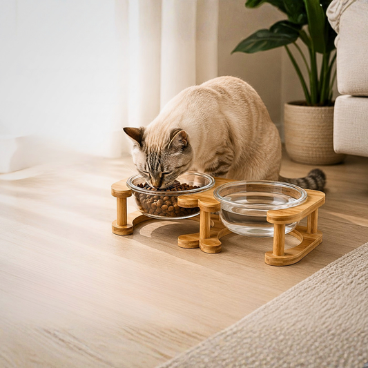 Glass Cat Bowl and Dog Bowl with Neck Support (Double)