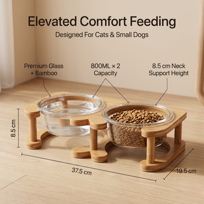 Glass Cat Bowl and Dog Bowl with Neck Support (Double)
