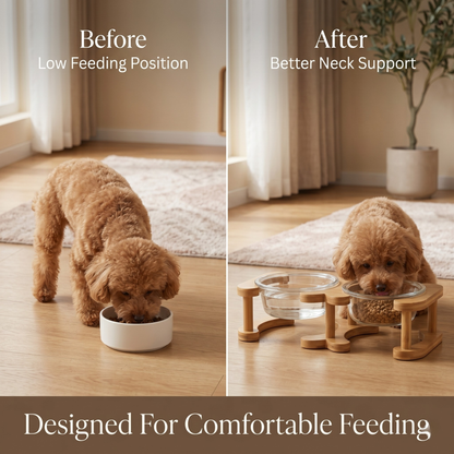 Glass Cat Bowl and Dog Bowl with Neck Support (Double)