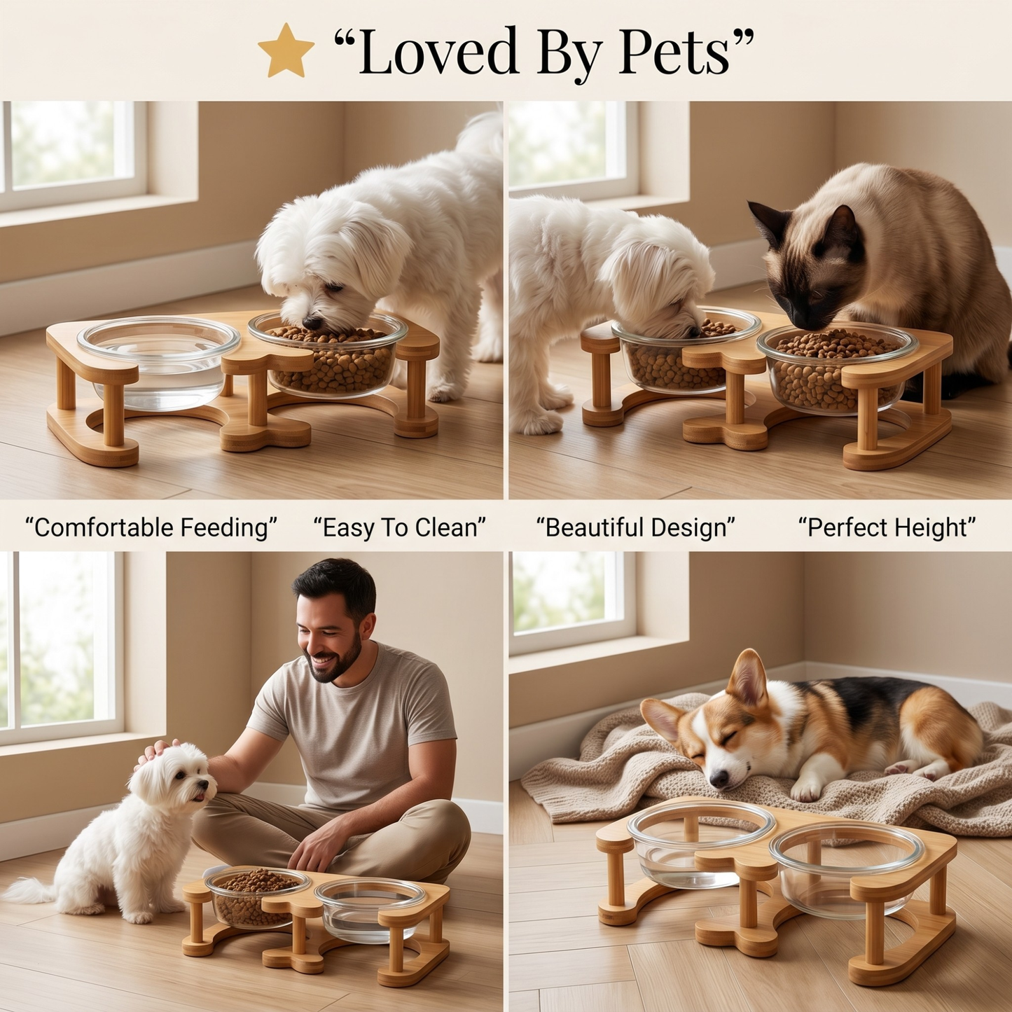 Glass Cat Bowl and Dog Bowl with Neck Support (Double)