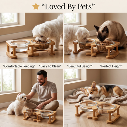 Glass Cat Bowl and Dog Bowl with Neck Support (Double)