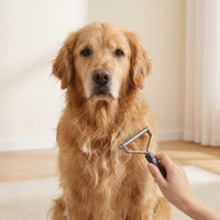 Deshedding Tool – Furminator Alternative for Dogs & Cats