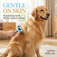 Deshedding Tool – Furminator Alternative for Dogs & Cats